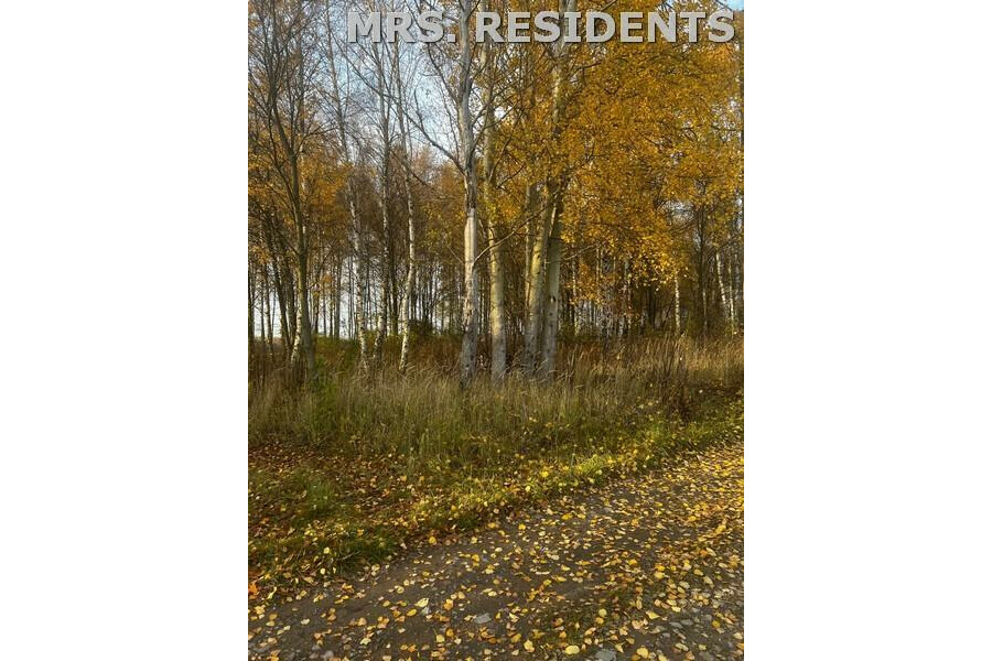 grodziski, Grodzisk Mazowiecki, Książenice, Działka na sprzedaż