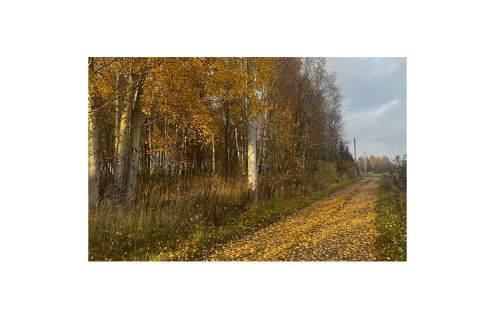 grodziski, Grodzisk Mazowiecki, Książenice, Działka na sprzedaż