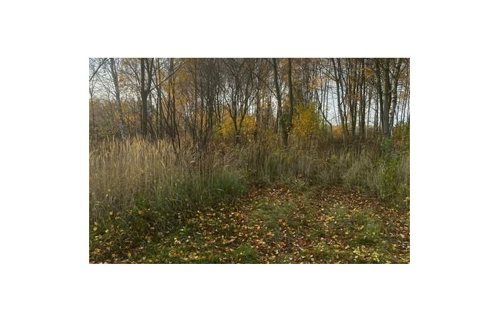 grodziski, Grodzisk Mazowiecki, Książenice, Działka na sprzedaż