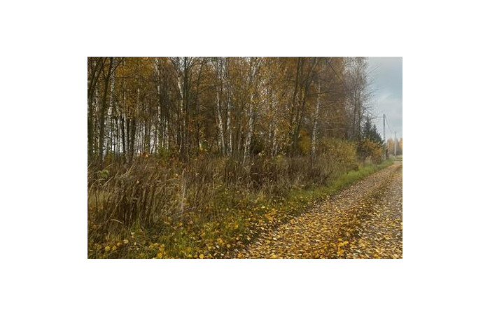 grodziski, Grodzisk Mazowiecki, Książenice, Działka na sprzedaż