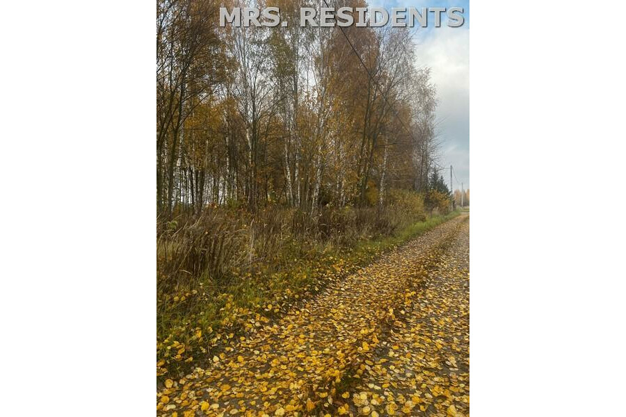 grodziski, Grodzisk Mazowiecki, Książenice, Działka na sprzedaż